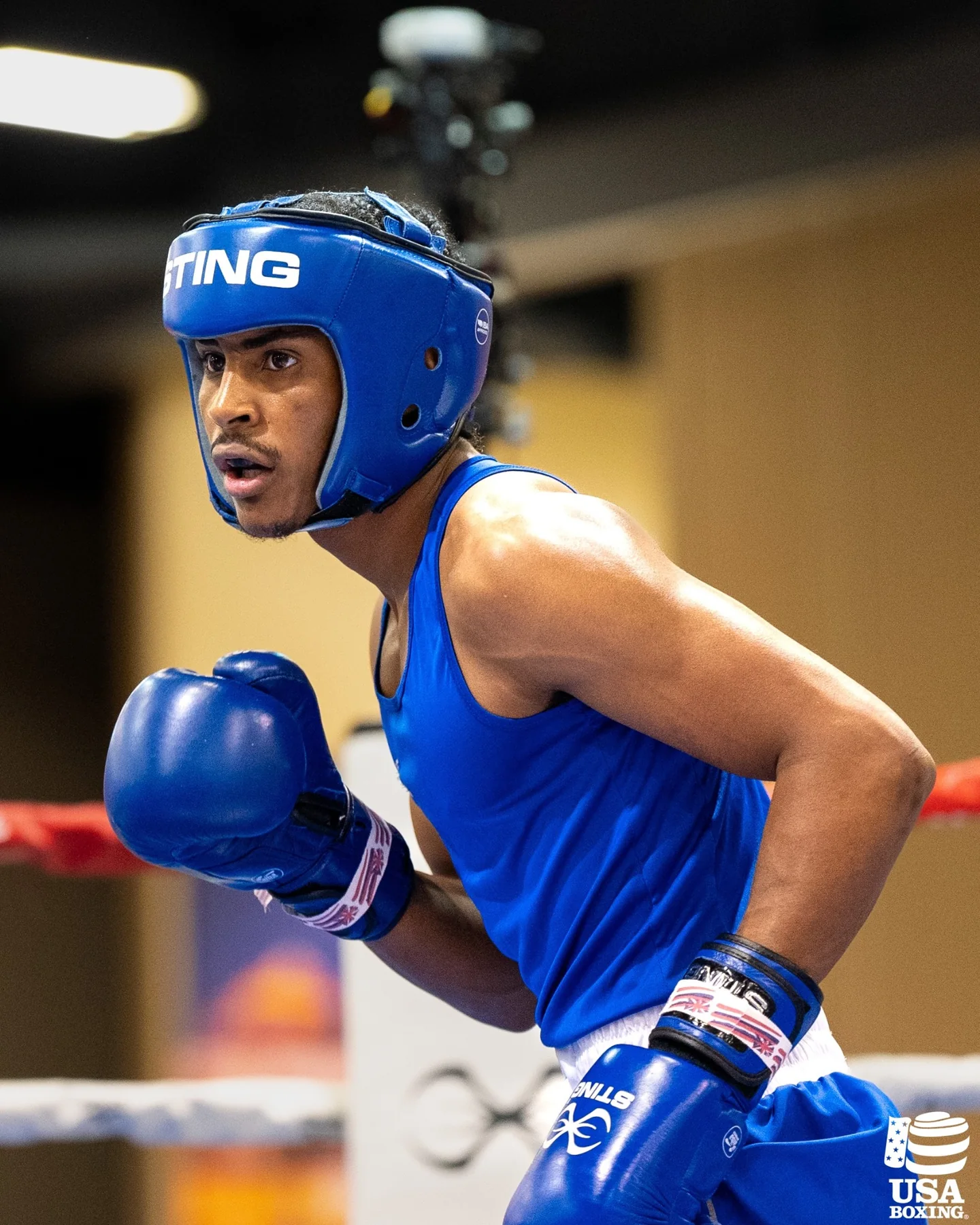 Boxer competing in the ring